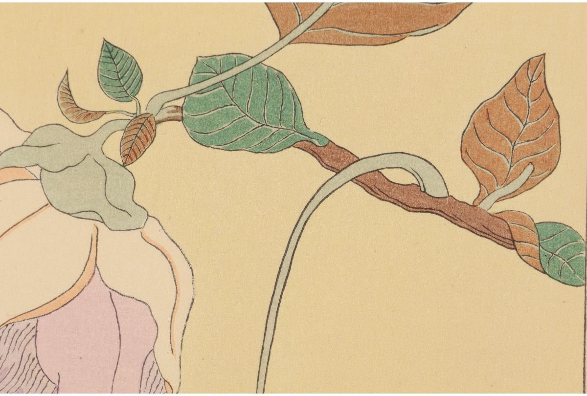 Paul Jaclay "Yap flower (Yap Island)"
