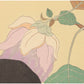 Paul Jaclay "Yap flower (Yap Island)"