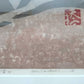 Hashimoto Okiie "Mt. Fuji during the day"