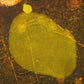 Hagiwara Hideo "Heavenly Flowers"