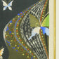 Nakayama Tadashi "Butterfly Girl"