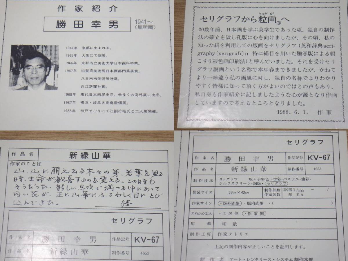 Katsuta Yukio "Smilax Glabra"