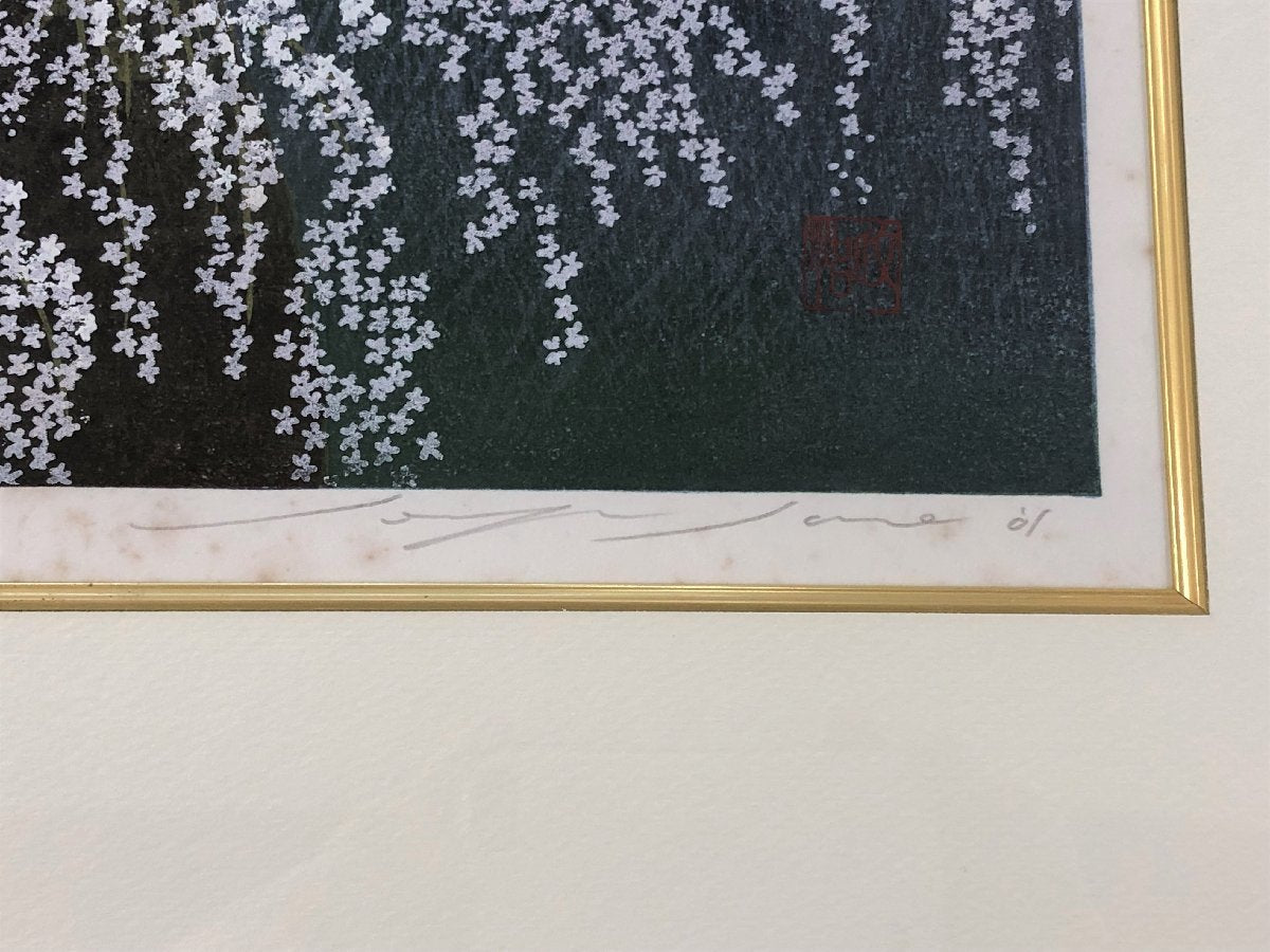 Sano Seiji "Moonlight"