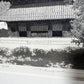 TANAKA RYOHEI "Sennyuji Temple"