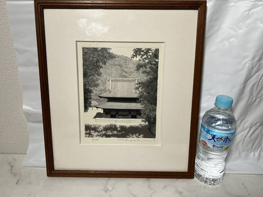 TANAKA RYOHEI "Sennyuji Temple"