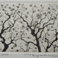 TANAKA RYOHEI "Japanese persimmon (2) "