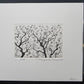TANAKA RYOHEI "Japanese persimmon (2) "