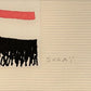 SUGAI KUMI "Unknown"