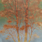 Namiki Hajime "Fall Scenery"