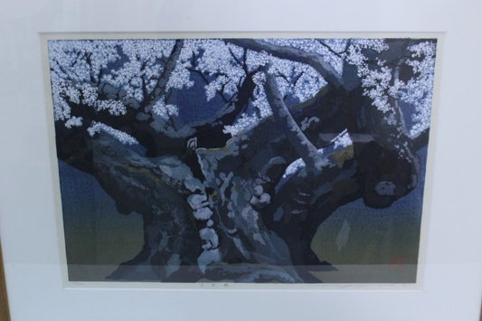 Sano Seiji "Light ink cherry blossoms"