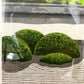 IDO MASAO "Shodenji Temple"