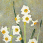 Katsuda Yukio "Narcissus"