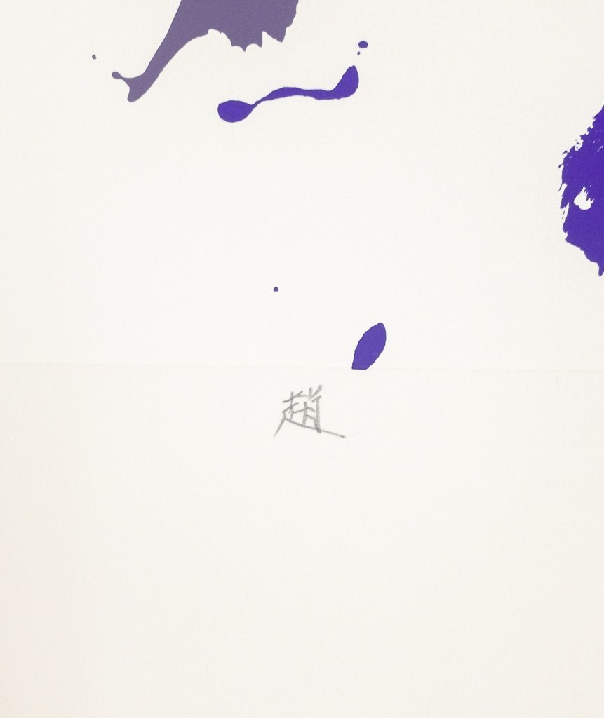 Shiraga Kazuo "Zhao"