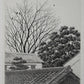 TANAKA RYOHEI "Trees and Roofs #2"