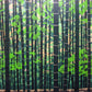 Fujita Fumio "Bamboo Thicket"