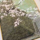 Katsuta Yukio "Cherry Tree"
