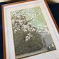 Katsuta Yukio "Cherry Tree"