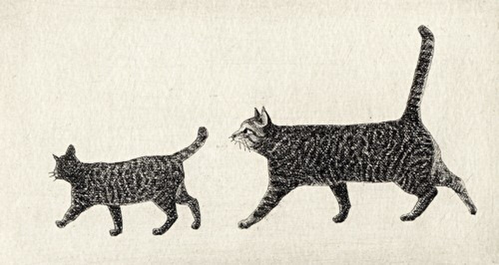 Nakai Takeshi "Walking, Two Cats"