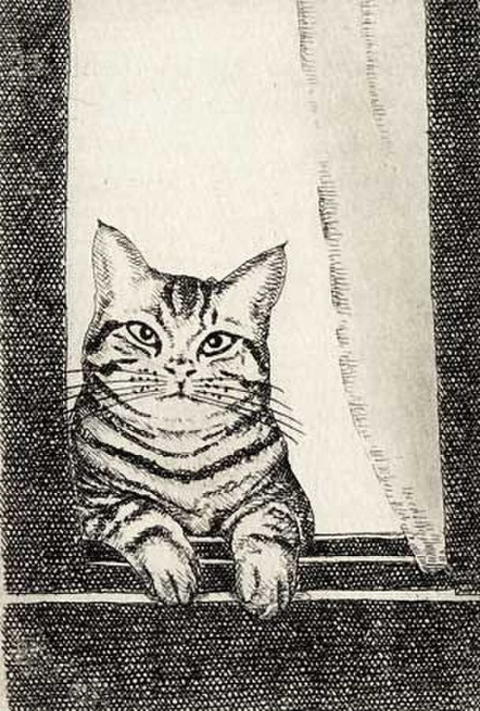 Nakai Takeshi "A cat through the window."