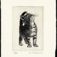 Nakai Takeshi "American Shorthair 2020"