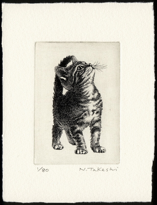 Nakai Takeshi "American Shorthair 2020"