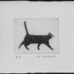 Nakai Takeshi "Sideways Cat"