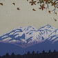 Nishida Tadashige "Sunny day"