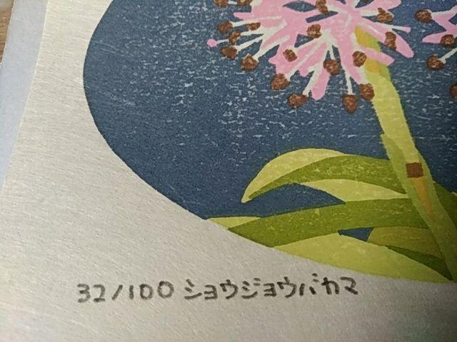 Yoshida Masaki "Flower series Heloniopsis orientalis"