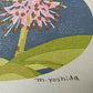 Yoshida Masaki "Flower series Heloniopsis orientalis"