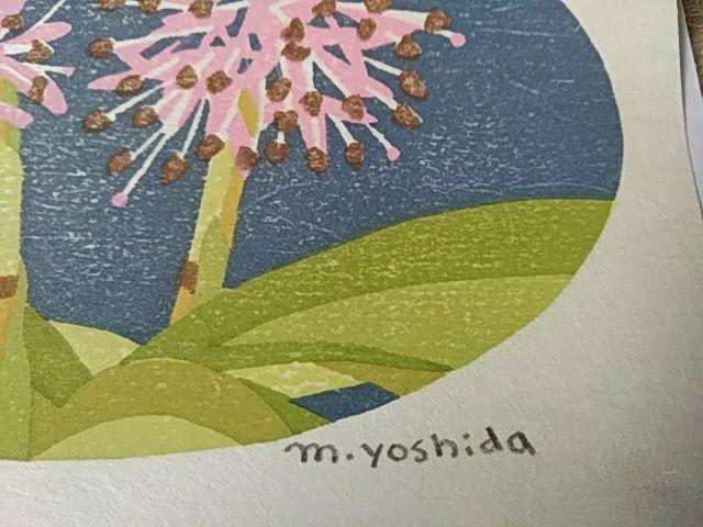 Yoshida Masaki "Flower series Heloniopsis orientalis"