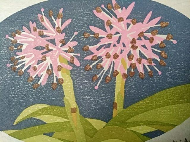 Yoshida Masaki "Flower series Heloniopsis orientalis"