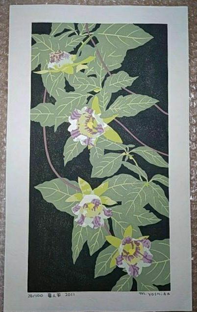 Yoshida Masaki  "Hyakka-fu Series Asian Ginseng"