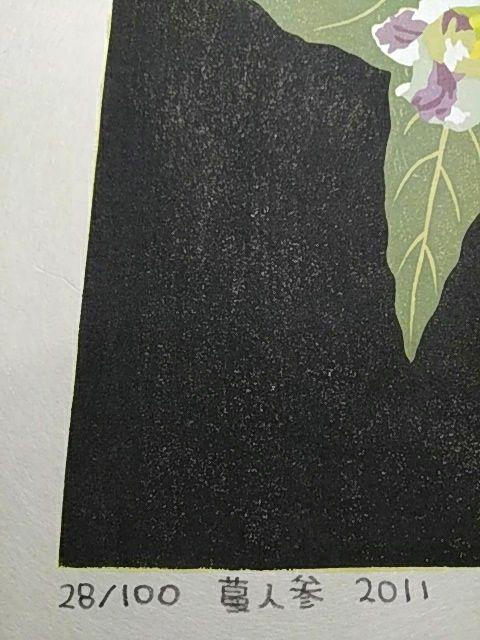 Yoshida Masaki  "Hyakka-fu Series Asian Ginseng"