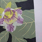 Yoshida Masaki  "Hyakka-fu Series Asian Ginseng"
