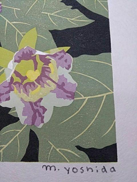 Yoshida Masaki  "Hyakka-fu Series Asian Ginseng"