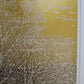 Nishida Tadashige "White Tree(4)"