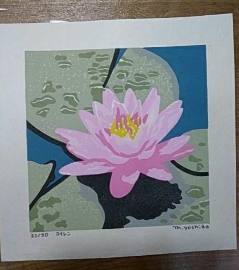 Yoshida Masaki "Water lilies"
