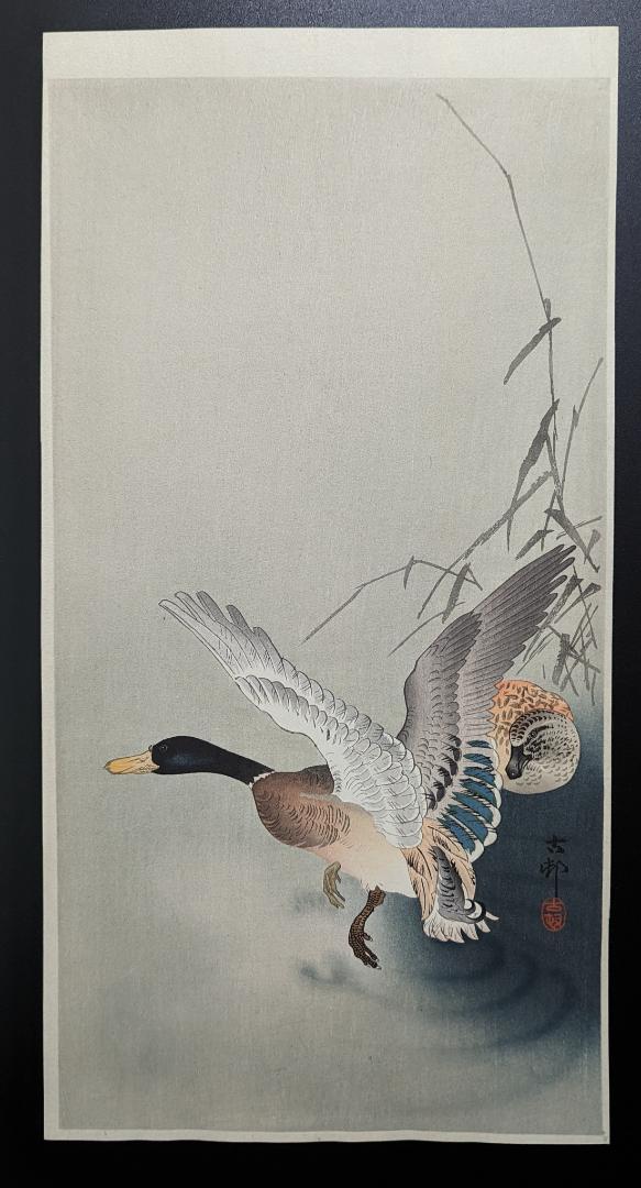 Ohara Koson"Mating Ducks by the Water's Edge"