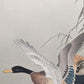 Ohara Koson"Mating Ducks by the Water's Edge"