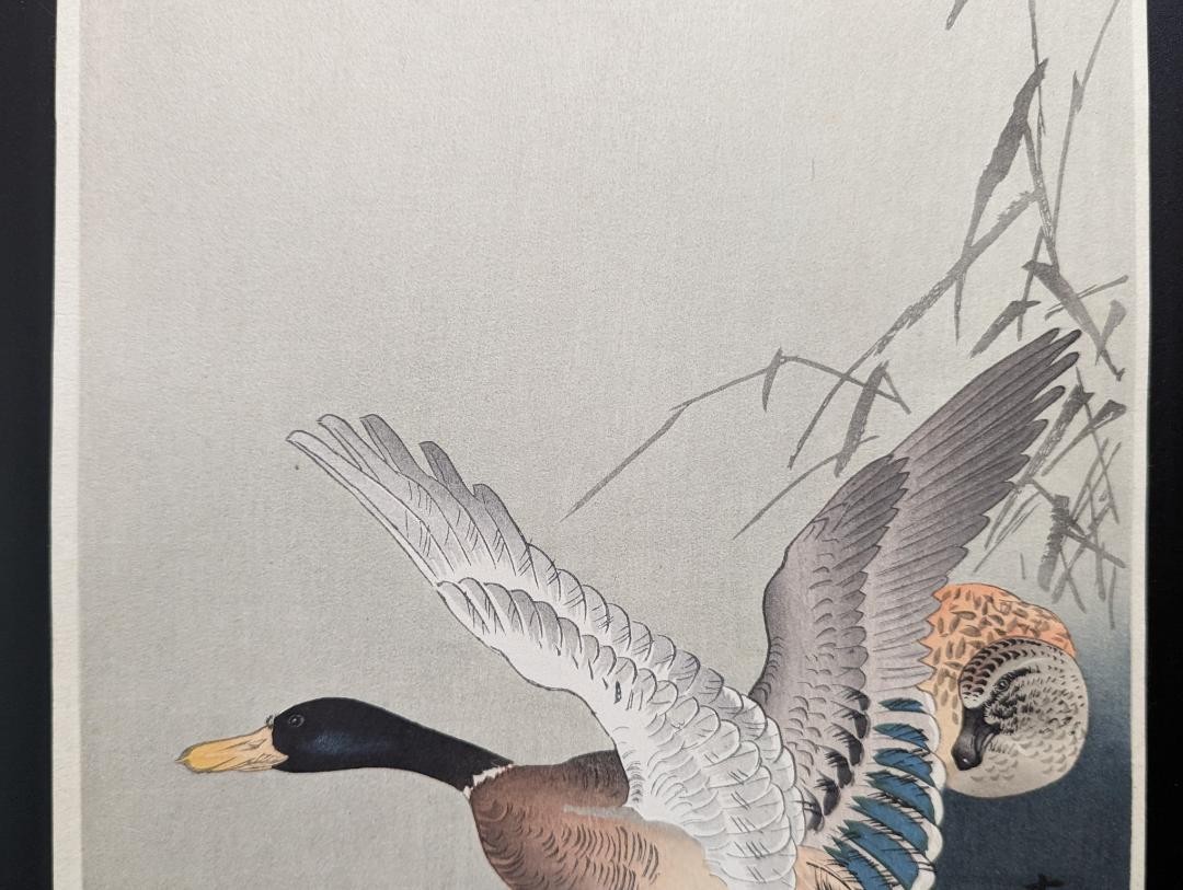 Ohara Koson"Mating Ducks by the Water's Edge"