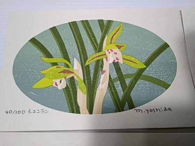 Yoshida Masaki  "Flower Series 5 Sets B"