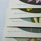 Yoshida Masaki  "Flower Series 5 Sets B"