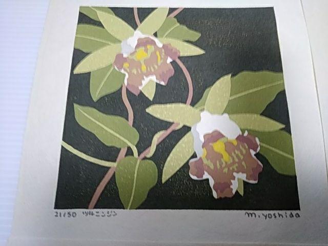 Yoshida Masaki "Saikafu Series 4sets B "