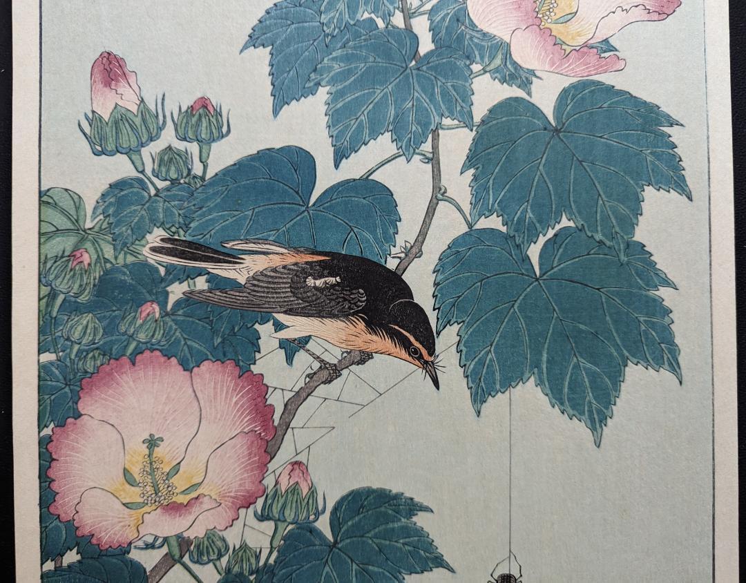 Ohara Koson "Fly-catcher on Rose Mallow Watching"