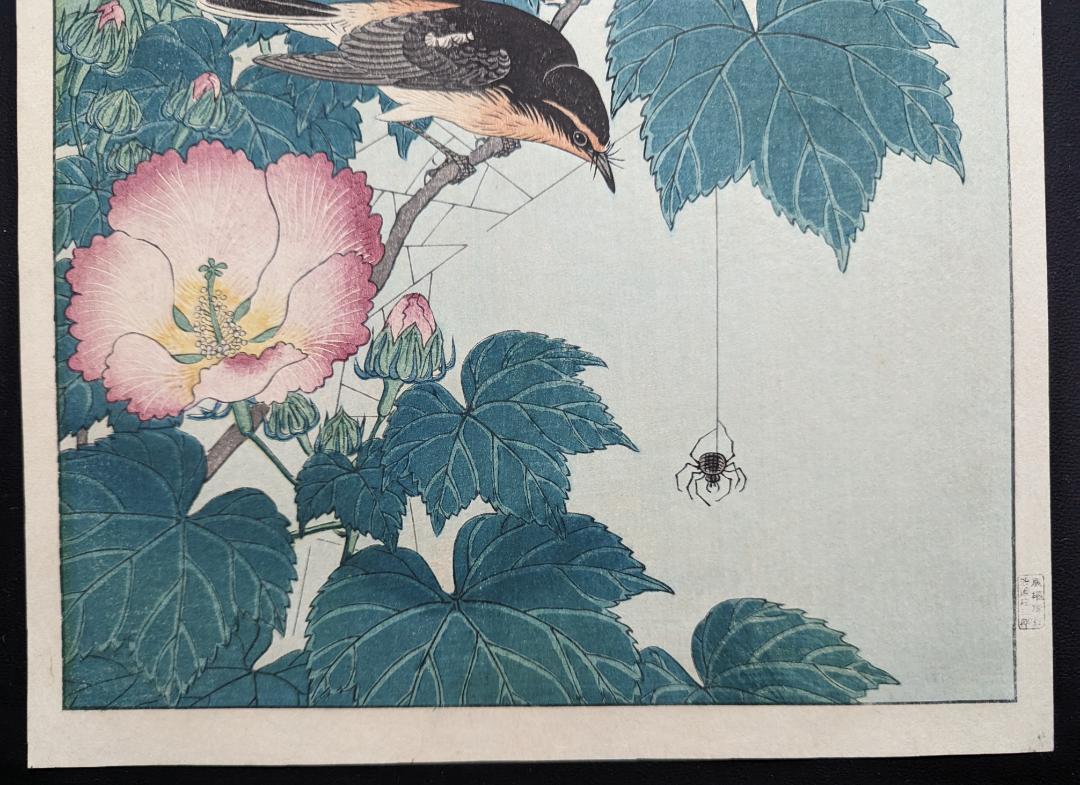 Ohara Koson "Fly-catcher on Rose Mallow Watching"