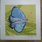 Yoshida Masaki "Butterfly series Green-winged Teal"