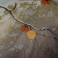 Sano Seiji "leftover persimmons"