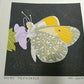 Yoshida Masaki "Butterfly Series 6sets B "