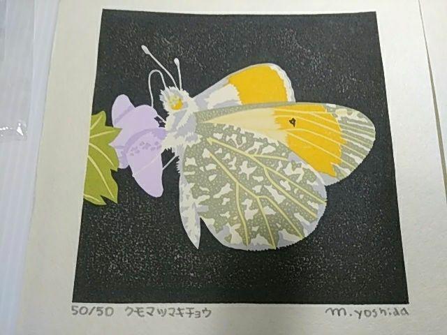 Yoshida Masaki "Butterfly Series 6sets B "