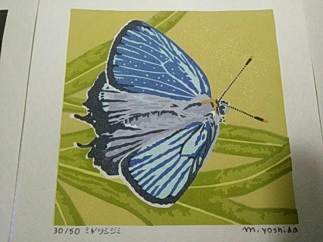 Yoshida Masaki "Butterfly Series 6sets B "
